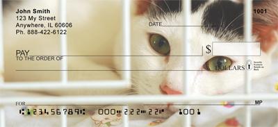 Adopt a Cat