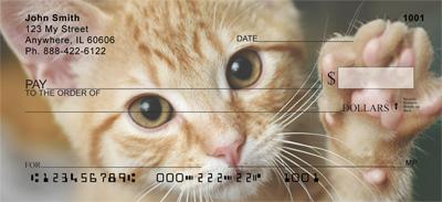 Adopt a Cat