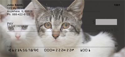 Adopt a Cat