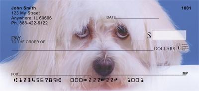 Adopt a Dog