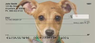 Adopt a Dog