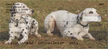 Dalmatians