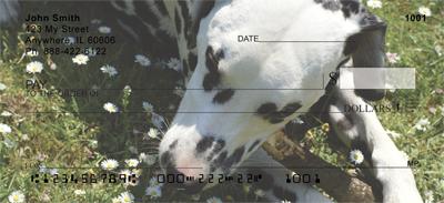 Dalmatians