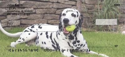 Dalmatians