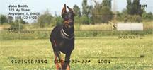 Dobermans