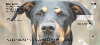 Dobermans