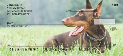 Dobermans