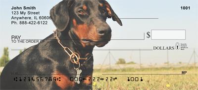 Dobermans