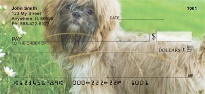 Shih Tzus