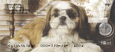 Shih Tzus