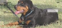 Rottweilers