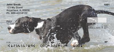 Great Danes
