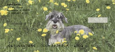 Schnauzers