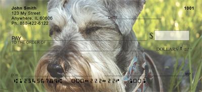 Schnauzers