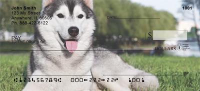 Siberian Huskies
