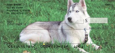 Siberian Huskies