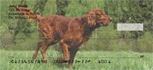 Irish Setters