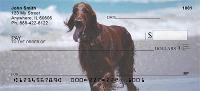 Irish Setters