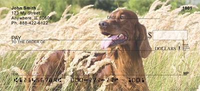Irish Setters