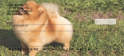 Pomeranians