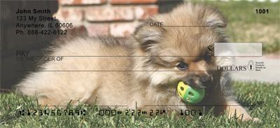 Pomeranians