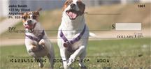 Jack Russells