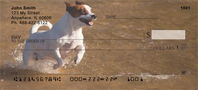 Jack Russells