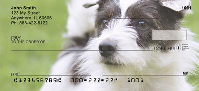 Jack Russells