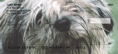 Lhasa Apsos