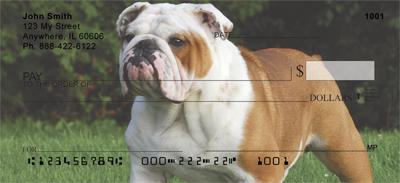 English Bulldogs