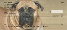 Mighty Mastiffs