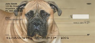 Mighty Mastiffs