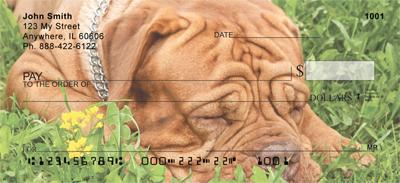 Mighty Mastiffs