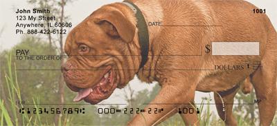 Mighty Mastiffs