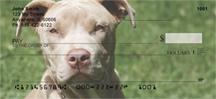 Pit Bulls