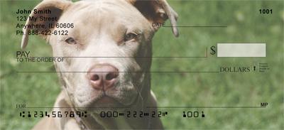 Pit Bulls