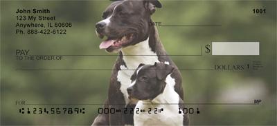 Pit Bulls