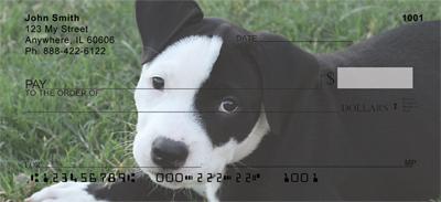 Pit Bulls