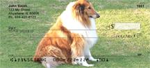 Collies