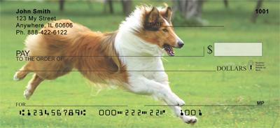 Collies