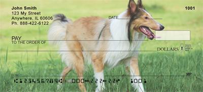 Collies