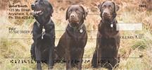 Labrador Fun