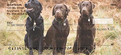 Labrador Fun