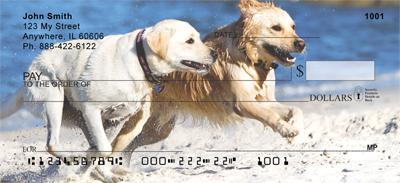 Labrador Fun