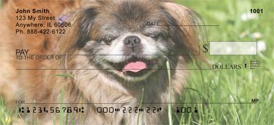Pekingese