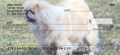Pekingese