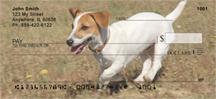 Smooth Fox Terriers
