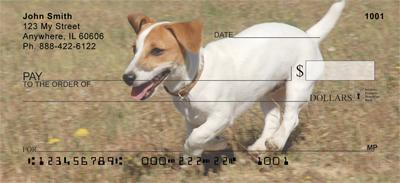 Smooth Fox Terriers