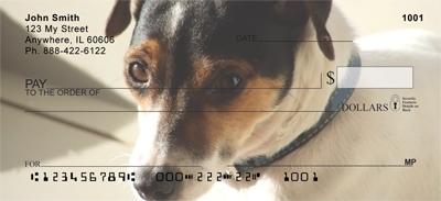Smooth Fox Terriers