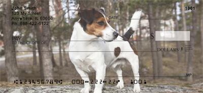 Smooth Fox Terriers